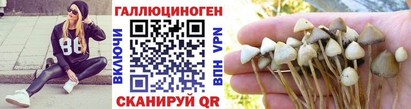 Купить закладки  Любань  Псилоцибиновые грибы ЛСД 