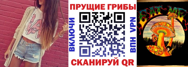 Псилоцибиновые грибы прущие грибы Любань
